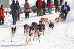 Lenk 2012 SM